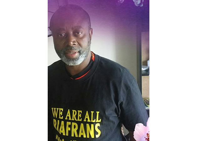 Why DSS arrested, released Chido Onumah