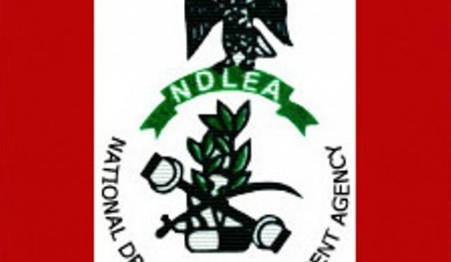 BREAKING: NDLEA arrests widow for ingesting 69 wraps of heroin