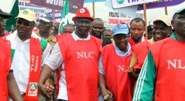 Strike: NLC shuts offices, schools