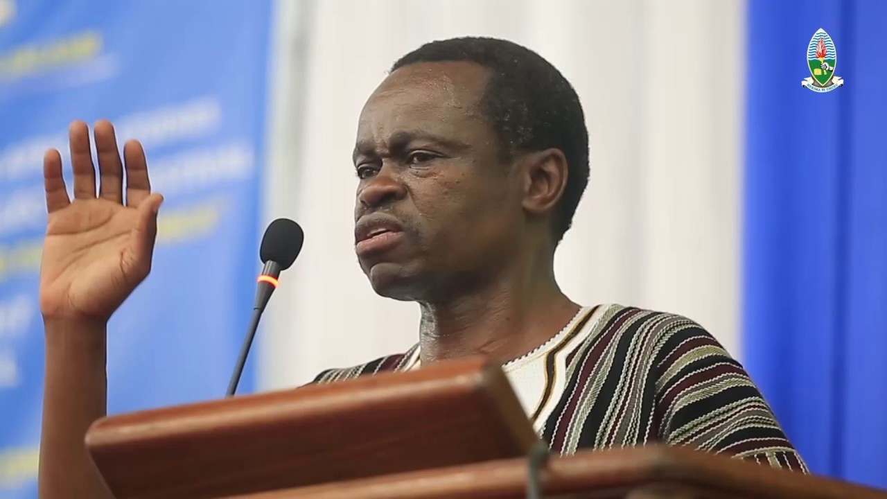 Border closure:  Benin Republic too small to threaten Nigeria - Patrick Lumumba