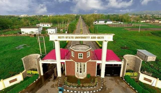 Ekiti State University dismisses randy lecturer caught in viral video