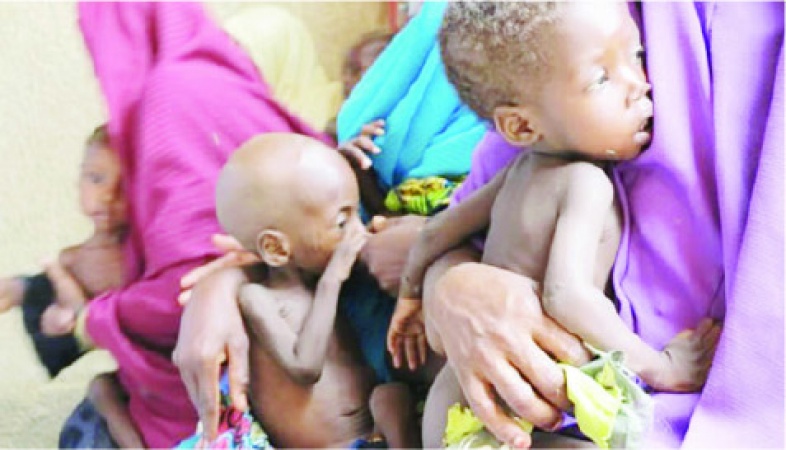 40 million people face ‘desperate food shortages’ in West Africa — WFP