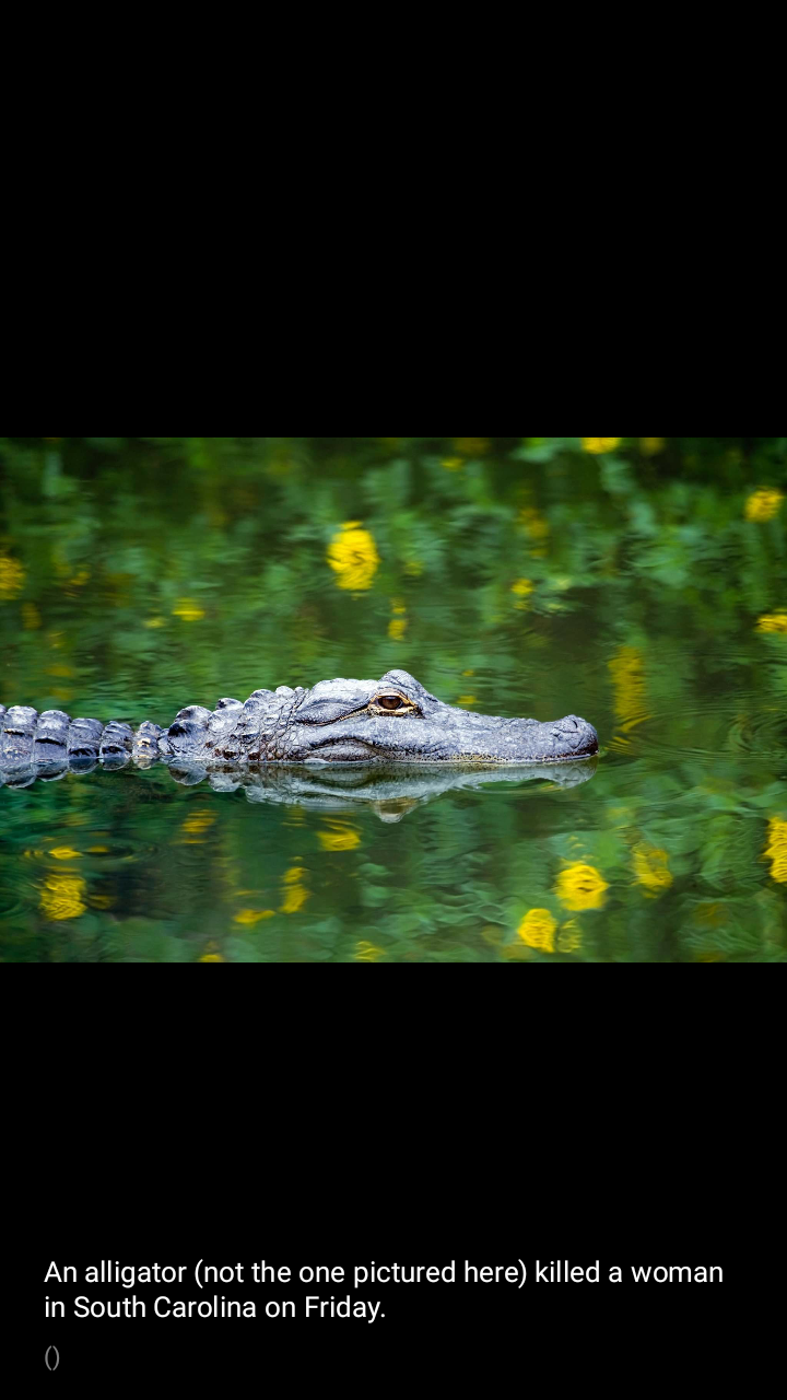 Woman killed by alligator was visiting home to do owner’s nails, tried to touch the gator, police say