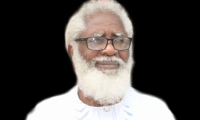 Ex-envoy warns southern govs against Almajiri