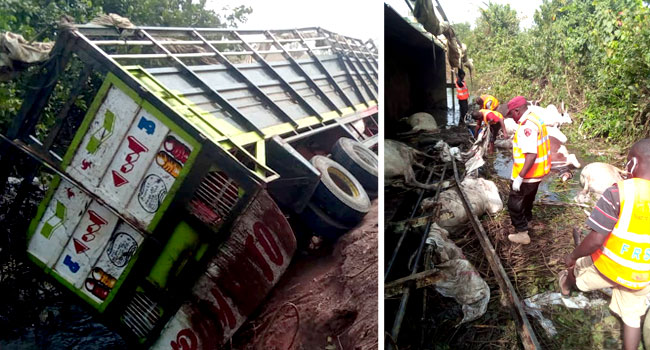 23 People Killed After Truck Conveying Humans, Cows Crashed In Niger