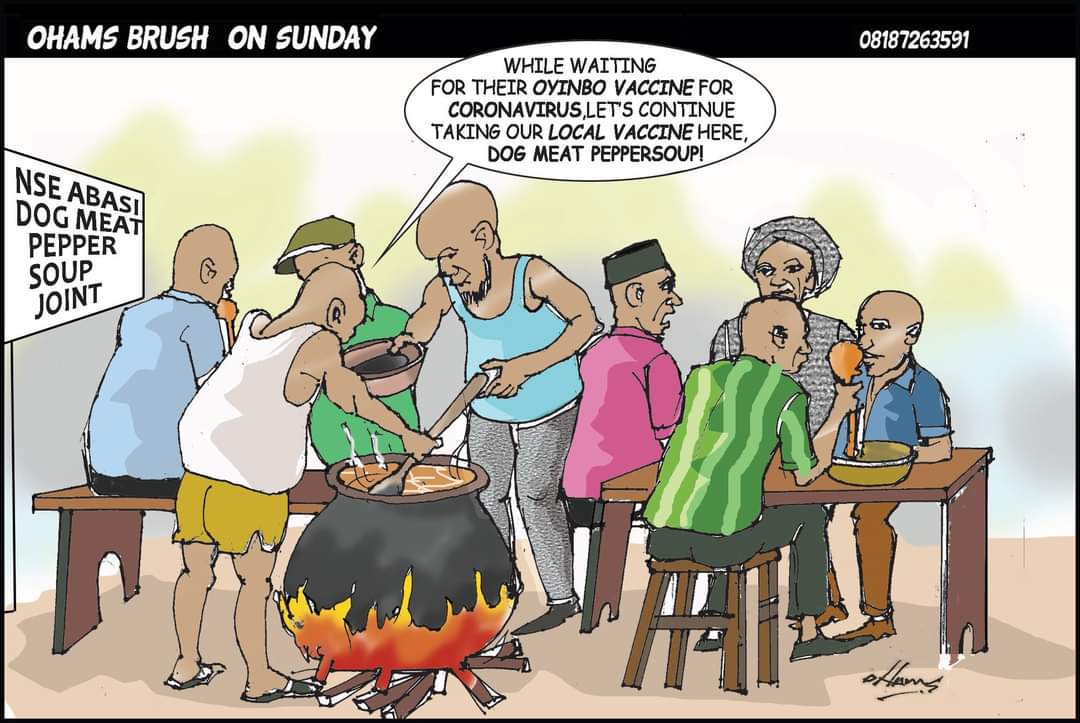 Naija: Dog Meat Pepper Soup And Their Covid-19 Vaccines