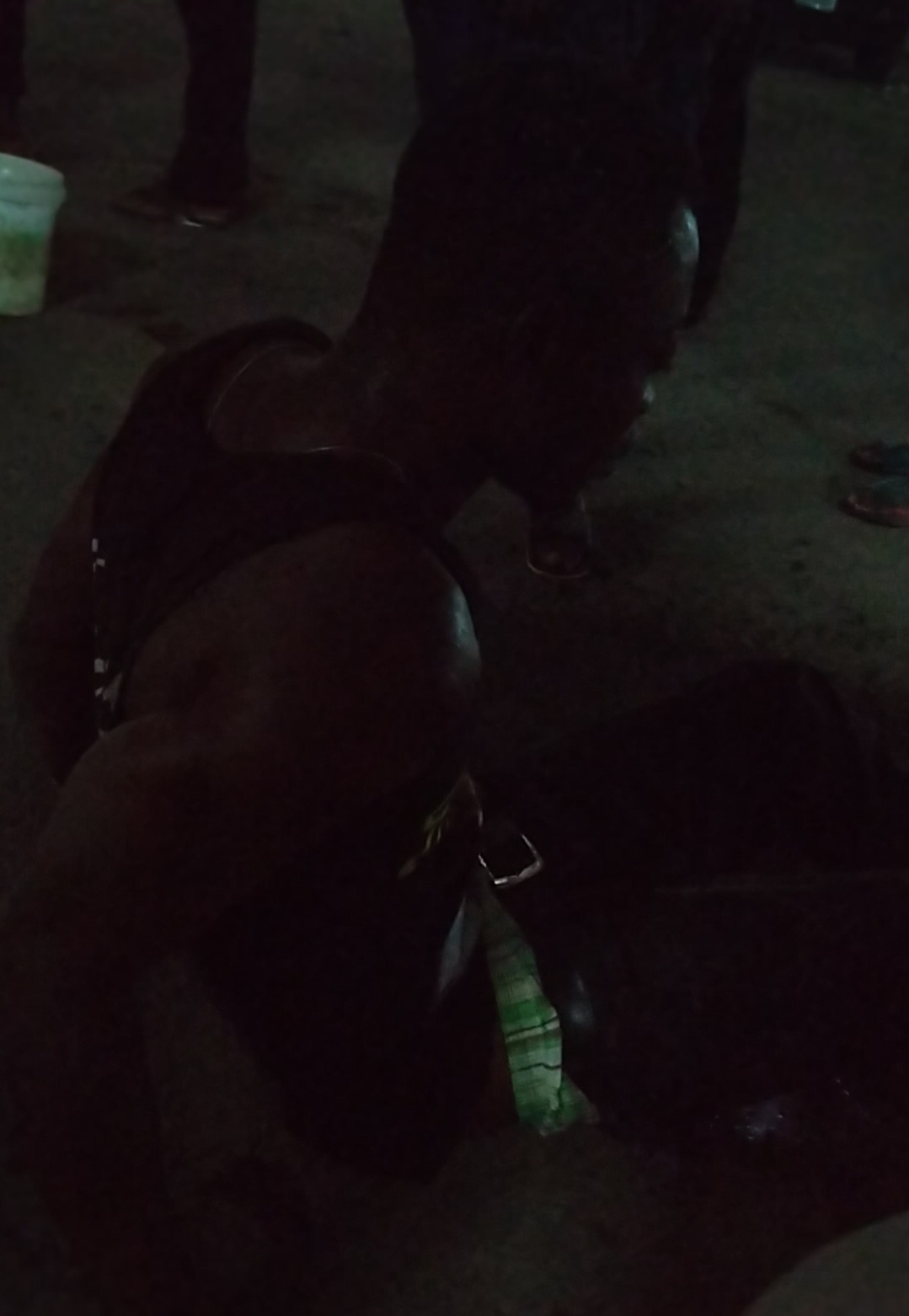 Festivity Gone Sour, As Man Collapses After Taking Tramadol