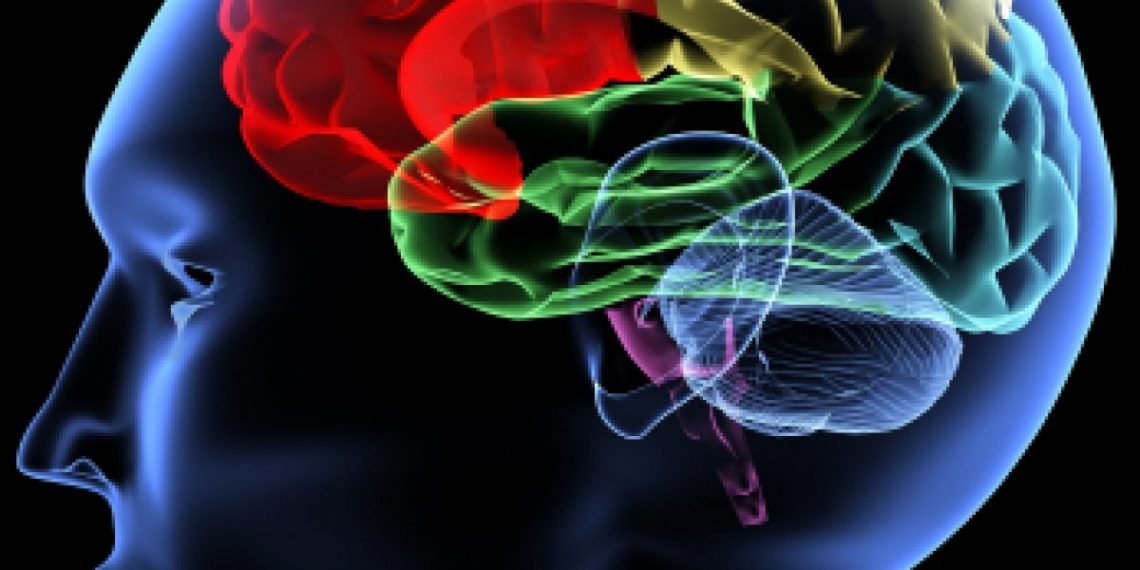 Early Childhood Education Key To Preventing Dementia – Neurologist