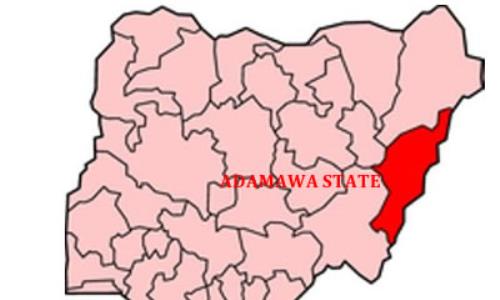 Boko Haram Abducts 30 women In Adamawa Village