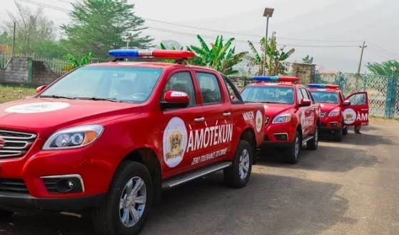 As South East Wallows In Confusion, Amotekun Operations Begin In Ogun