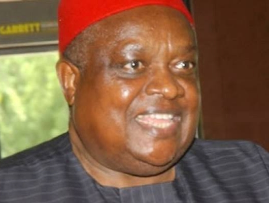 Sports, Only Sector That Unites Nigeria, Says Iwuanyanwu