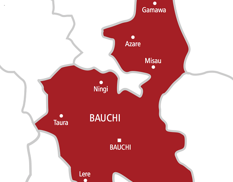 20 Die Of Cholera Outbreak In Bauchi