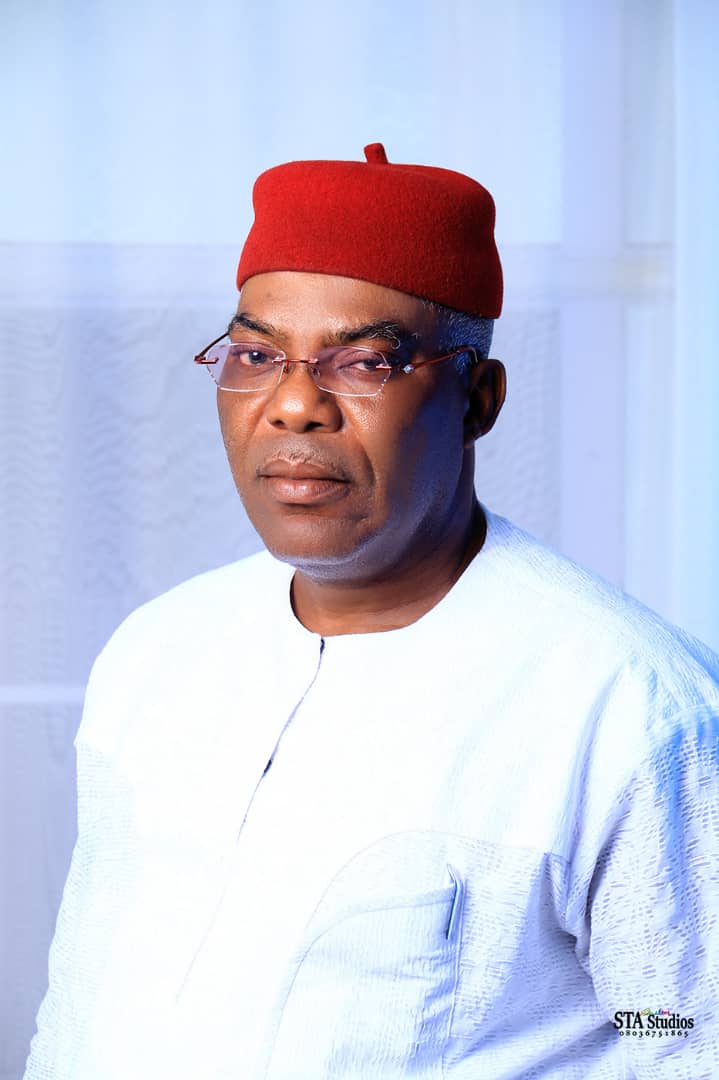 Imo: Local Government Chair Salutes Nigerians On Democracy Day