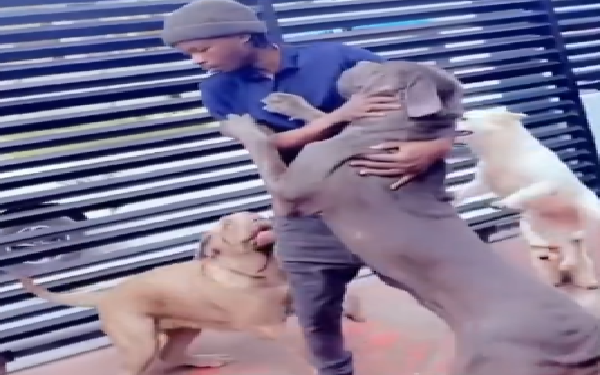 Naira Marley Shows Off Pets, Asks Who Go Visit Me?