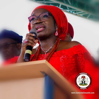 Uche Ekwunife Breaks Silence, Apologizes For Missing Important Voting In The Senate, Says YES To Electronic Voting