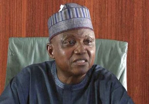 Buhari Doesn't Have Anything to do with PSC’s decision To Promote Magu — Presidency