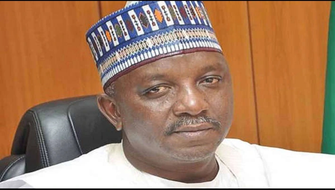 Minister Of Power Mamman Collapses, Lands In Hospital After Sack
