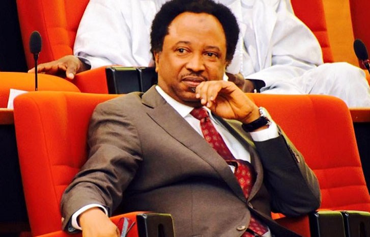APC To Shehu Sani: Kaduna Too Big For Comedian To Govern