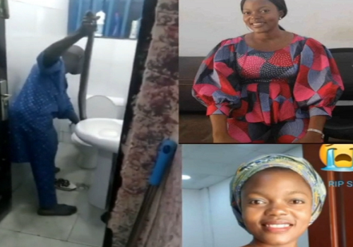 NAF Personnel Dies Of Snakebite In Abuja