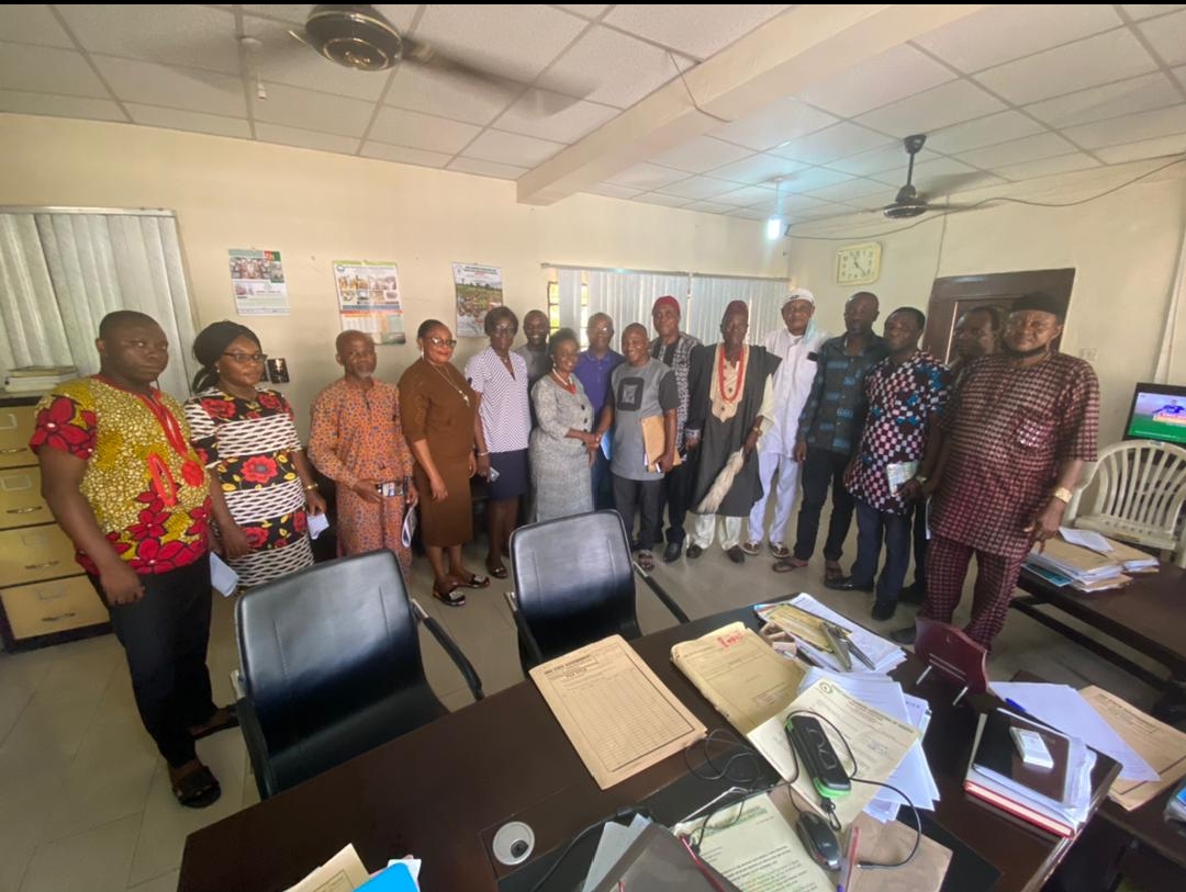 Cocoa Farmers Seek Imo Govt Support To Boost Production
