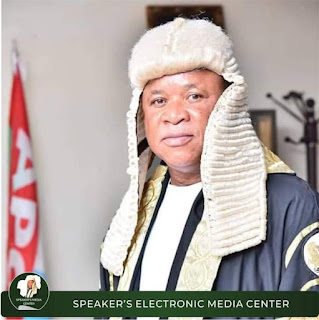 Nobody Induced Us To Remove His Deputy, Amara Iwuanyanwu - Imo Assembly Speaker