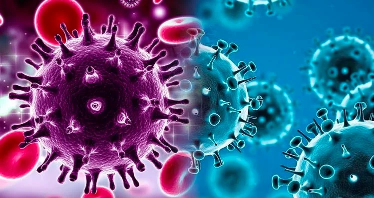 World Health Organisation Recommends Two New Drugs For Treatment Of COVID-19