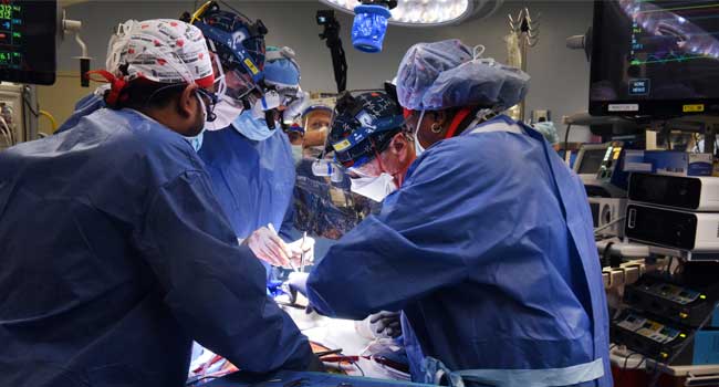 Surgeons Successfully Implant Pig’s Heart In Human