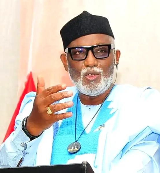 2023 Presidency: Any Party With Northern Candidate ‘ll Lose Election — Southern Governors