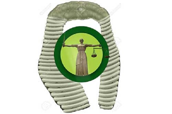 Bravery: Justice Pemu Kidnapped, Escapes From Abductors’ Den