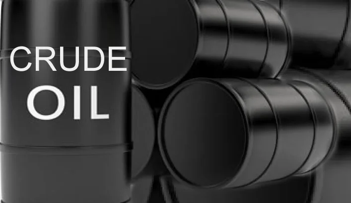 IOCs Dreads Collapse Due To Enormous Increase In Oil Theft