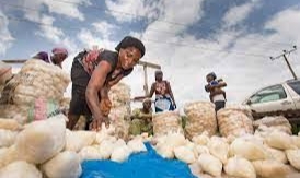 Fufu Sellers Solicit Equipment To Boost Business