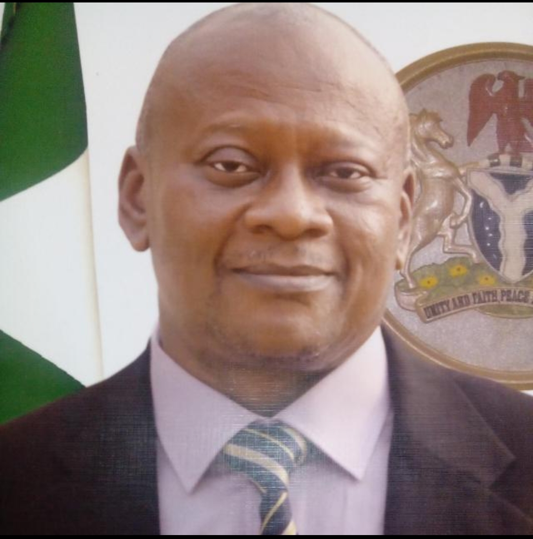 APC Crisis: Prof  Orikeze Tackles Gov El-Rufai, Says He Misinterpreted APC Constitution