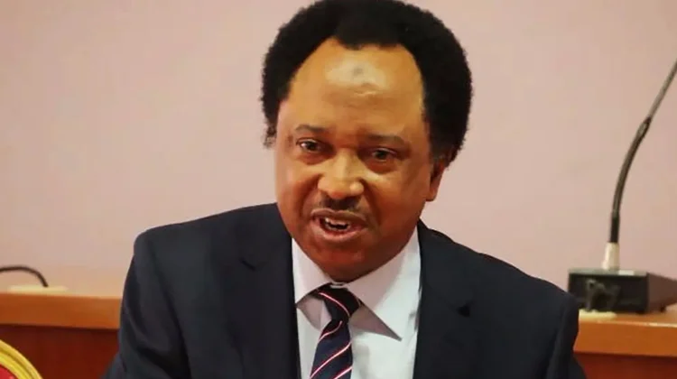 Abuja-Kaduna Highway, Blocked By Gunmen Says Shehu Sani