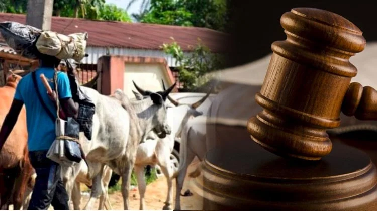 Gov's Move To  Enforce Anti-Open Grazing Ban