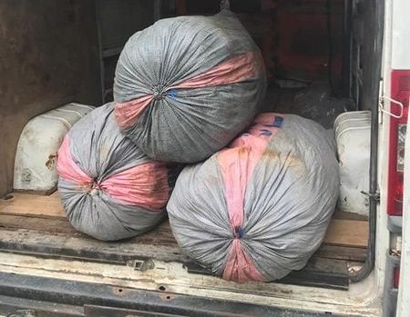NDLEA Intercepts Three Million Capsules Of Opioids In Lagos