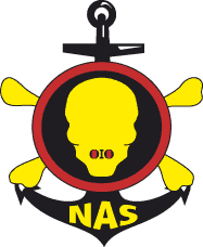 Insecurity: NAS Insists Buhari  Stay At Duty Post To Halt Killings