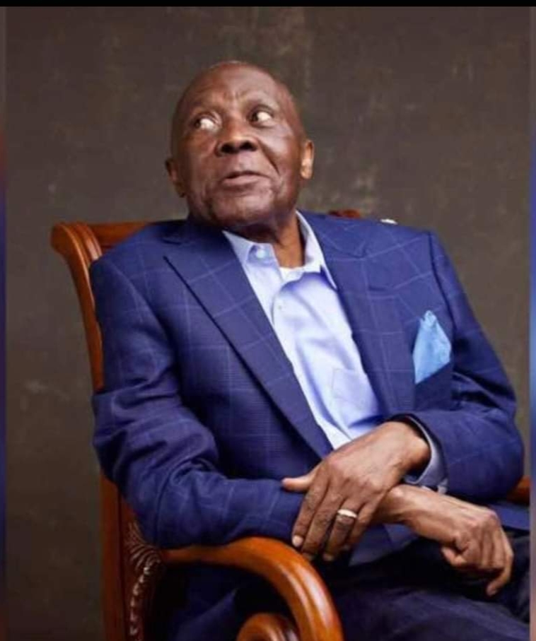 Nigeria Loses A Political Juggernaut In Arthur Nzeribe  -  Uzodimma