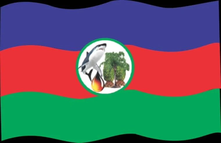 Group Cautions Politicians Against Using Ijaw Communities As Election Battlefields