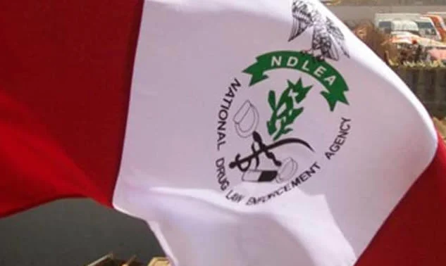NDLEA Warns Nigerians Against Travelling With 3rd Party Packed Items