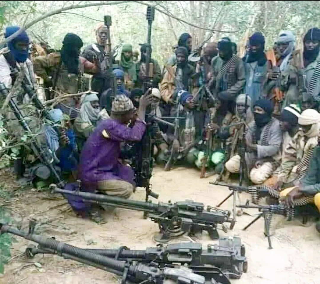 Again, Bandits Storm Elementary School, Abduct Over 200 Pupils, Teacher In Kaduna