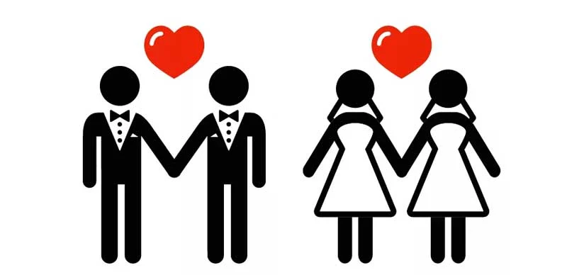 Japan Court Rules Against Same-Sex Marriage, Lawyer Disappointed