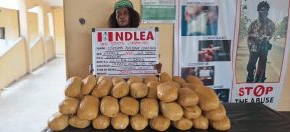 NDLEA Bursts Illicit Drugs In Wedding Gown, Arrests 400-Level Niger Delta Varsity Undergraduate