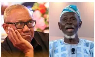 May 29: Peter Obi’s Request Unconstitutional; Tinubu Must Be Sworn In — LP’s Lamidi Apapa