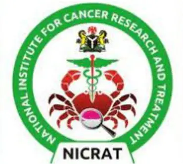 Killer Indomie Noodles: Expect Increase In Cancer Cases Among Children - NICRAT