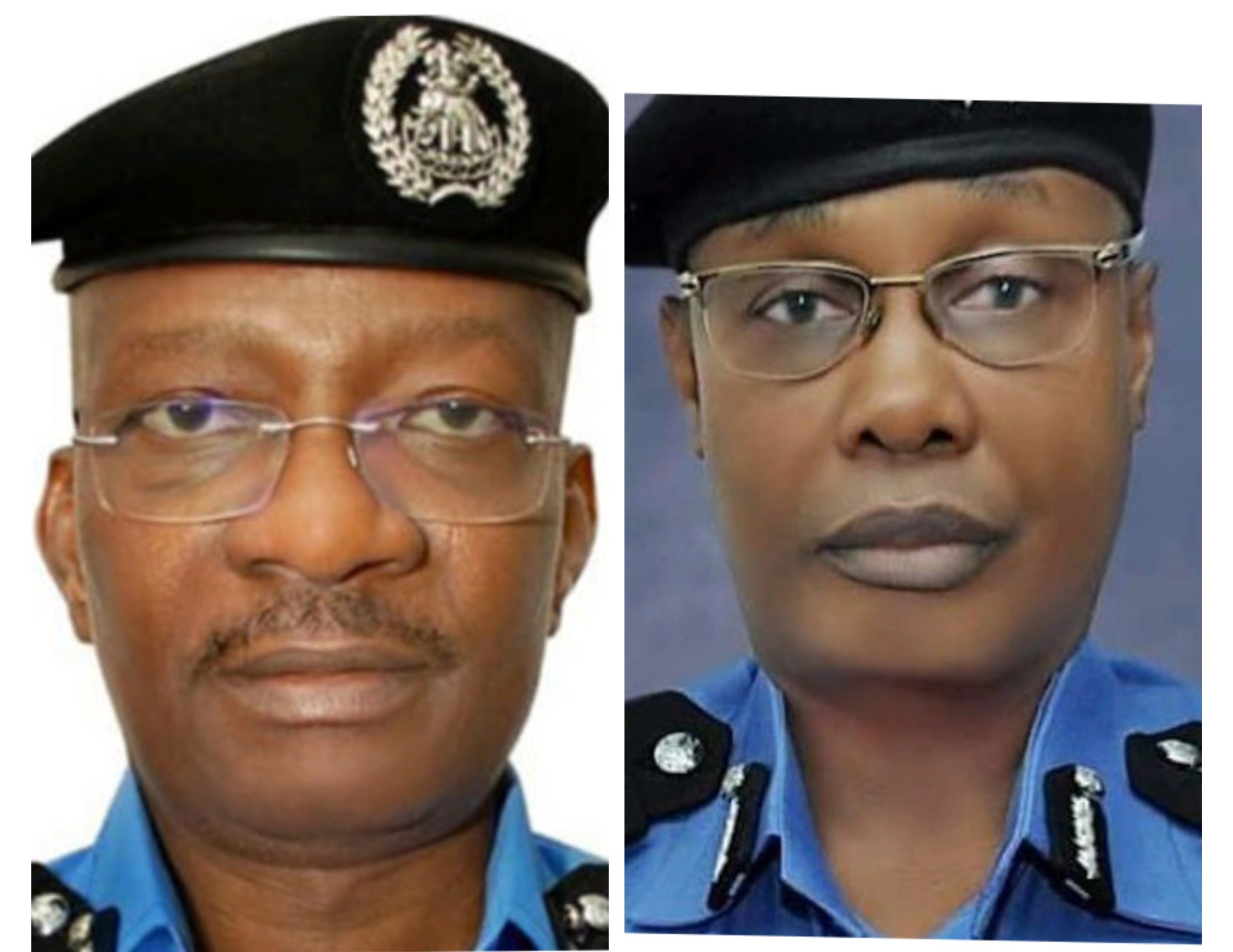 As Ex-IGP Alkali Says No Ill Feelings Over  Sack By President Tinubu, Acting IG Says He Feels Like A Tiger Ready To Devour