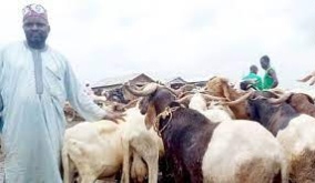 Muslim faithful Worry Over Subsidy Removal, Naira Devaluation, Hike In Ram Price Ahead Eidel-Kabir
