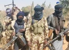 Brave Farmer Dares Bandits, Kills Gang Leader During Fight