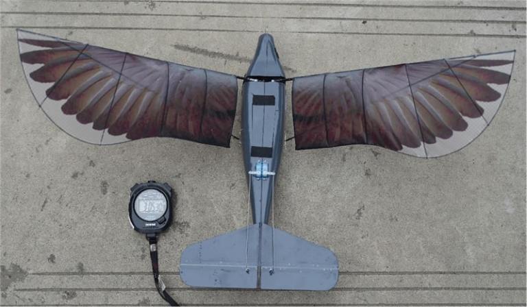 World Record! China Flies ‘Revolutionary’ Flapping Wing Drone That Replicates A Birds Flying Mechanism