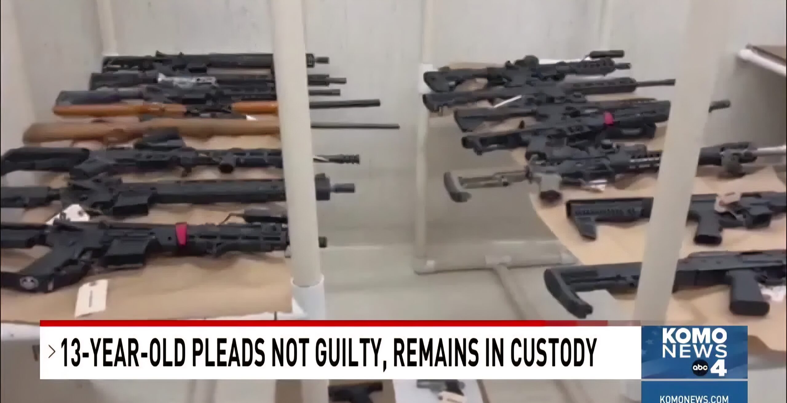 13-Year-Old Boy In  Court For Planning Mass Shooting In School, Found With Collection Of Guns: Sheriff