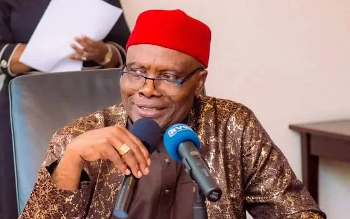 PDP Crisis: Wabara Begs Warring Members to ‘Sheathe Their Swords’ as BoT Moves for Peace